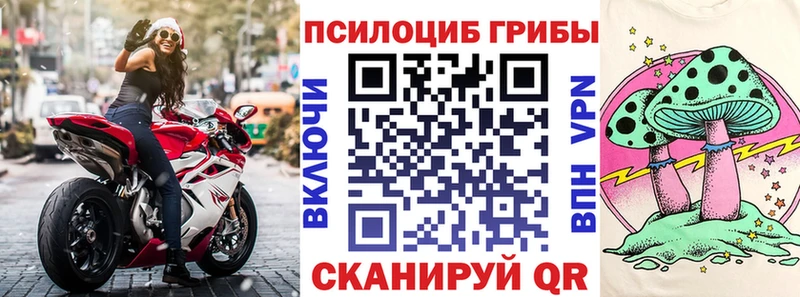 Псилоцибиновые грибы мицелий  Нея 